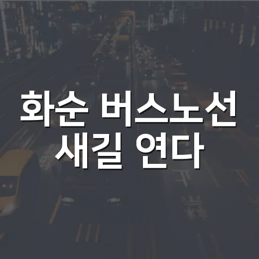 화순 버스노선 새길 연다