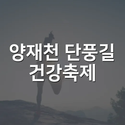 양재천 단풍길 건강축제