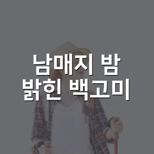 남매지 밤 밝힌 백고미