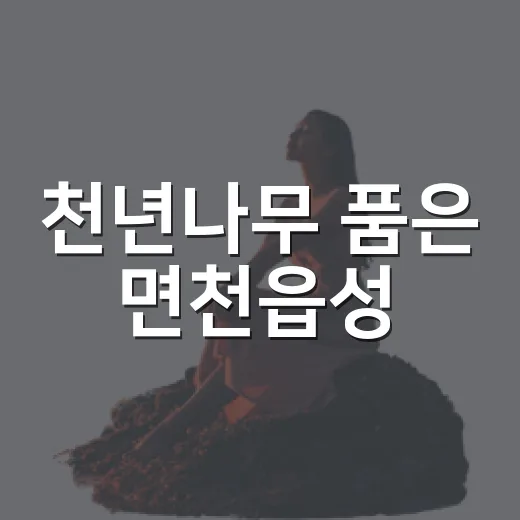 천년나무 품은 면천읍성