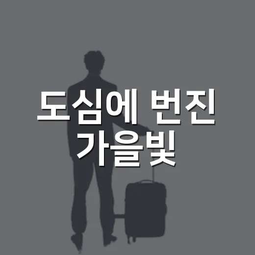도심에 번진 가을빛