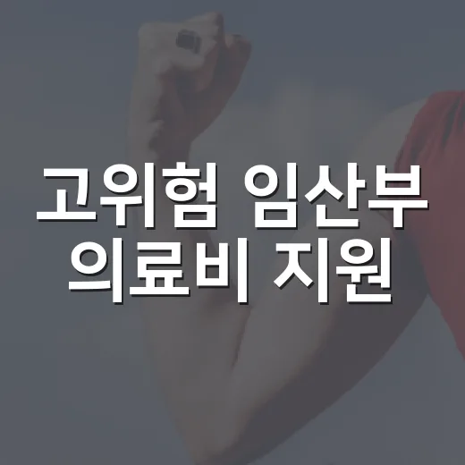 고위험 임산부 의료비 지원