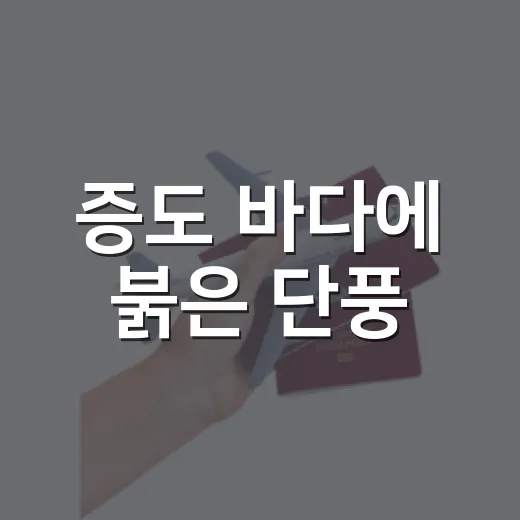 증도 바다에 붉은 단풍
