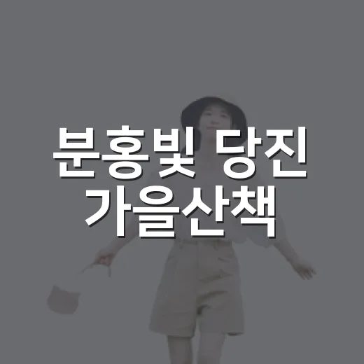 분홍빛 당진 가을산책