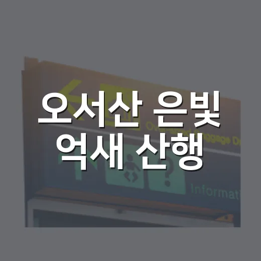 오서산 은빛 억새 산행