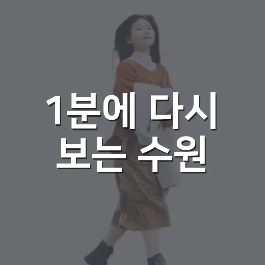 1분에 다시 보는 수원