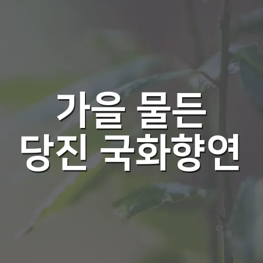 가을 물든 당진 국화향연