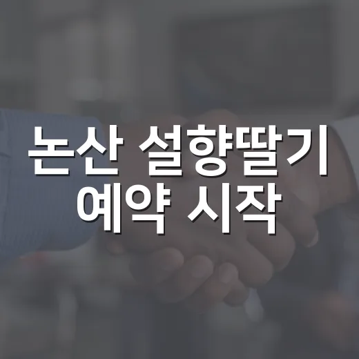 논산 설향딸기 예약 시작