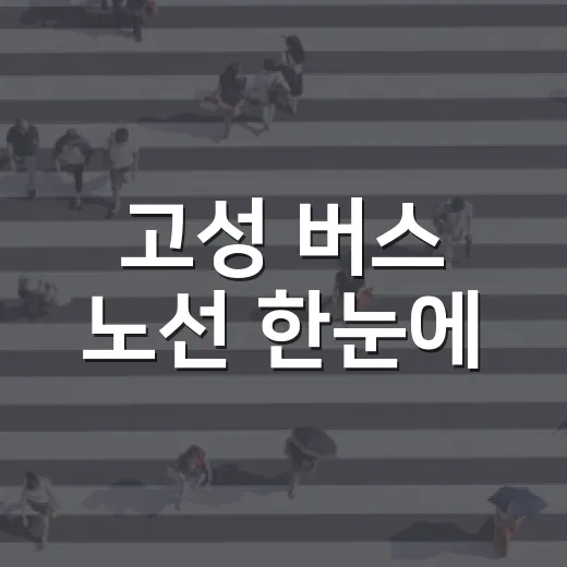 고성 버스 노선 한눈에