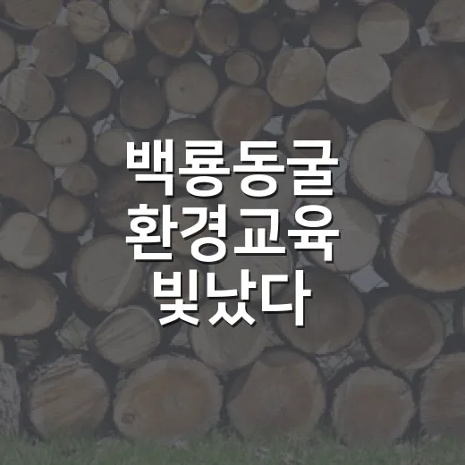백룡동굴 환경교육 빛났다