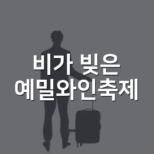 비가 빚은 예밀와인축제