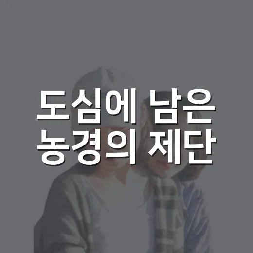 도심에 남은 농경의 제단