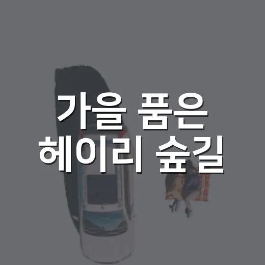 가을 품은 헤이리 숲길