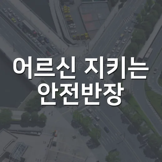 어르신 지키는 안전반장