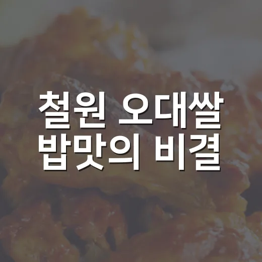 철원 오대쌀 밥맛의 비결