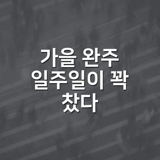 가을 완주 일주일이 꽉 찼다