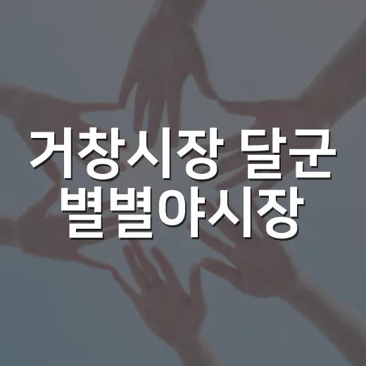 거창시장 달군 별별야시장