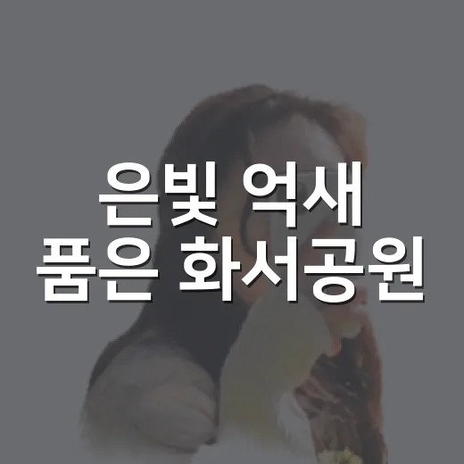 은빛 억새 품은 화서공원