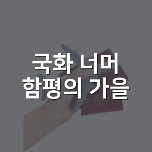 국화 너머 함평의 가을