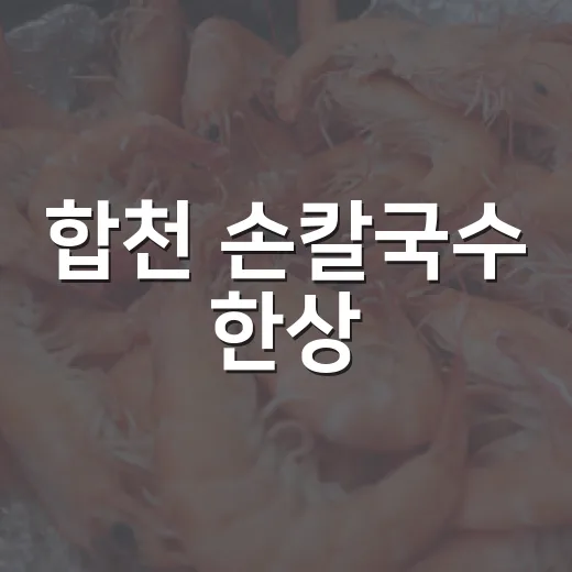 합천 손칼국수 한상