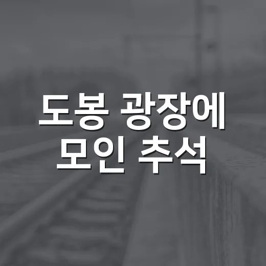 도봉 광장에 모인 추석