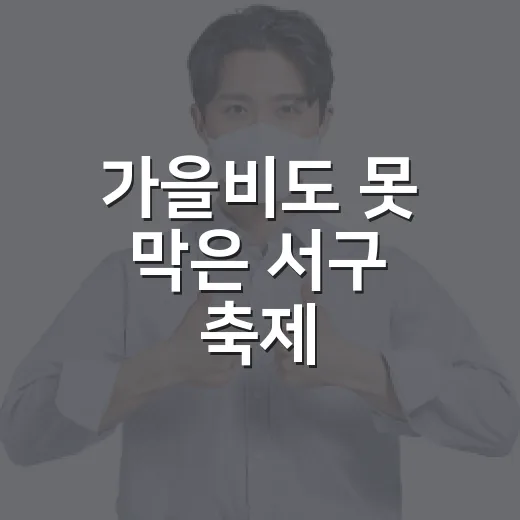 가을비도 못 막은 서구 축제
