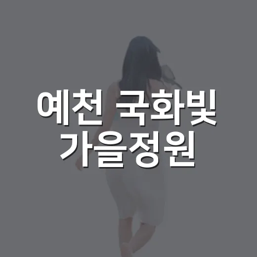 예천 국화빛 가을정원