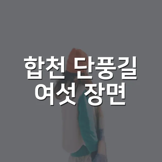 합천 단풍길 여섯 장면