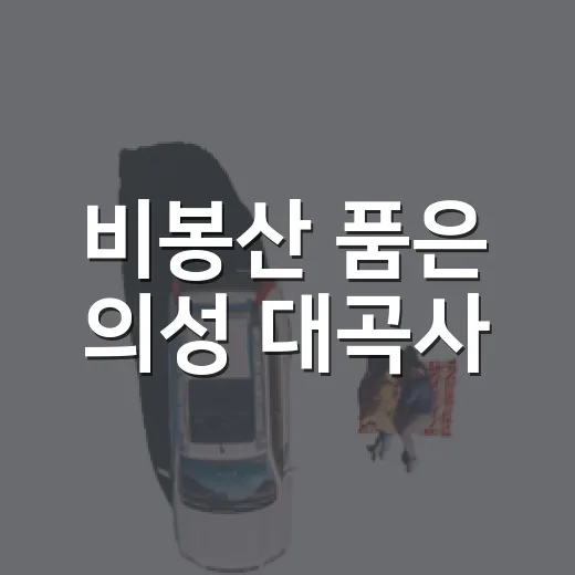 비봉산 품은 의성 대곡사