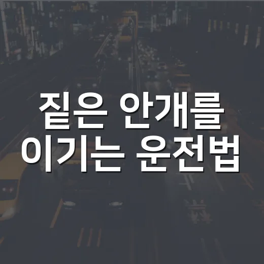 짙은 안개를 이기는 운전법