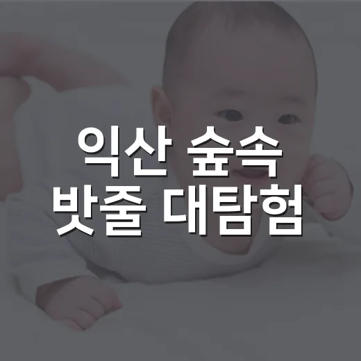 익산 숲속 밧줄 대탐험