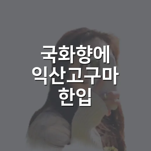 국화향에 익산고구마 한입