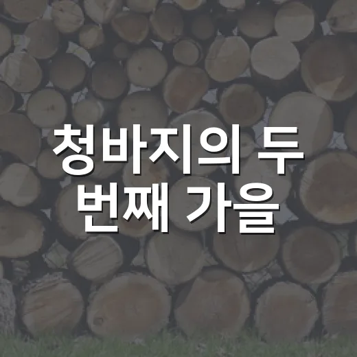 청바지의 두 번째 가을