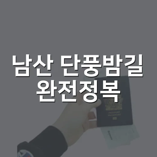 남산 단풍밤길 완전정복