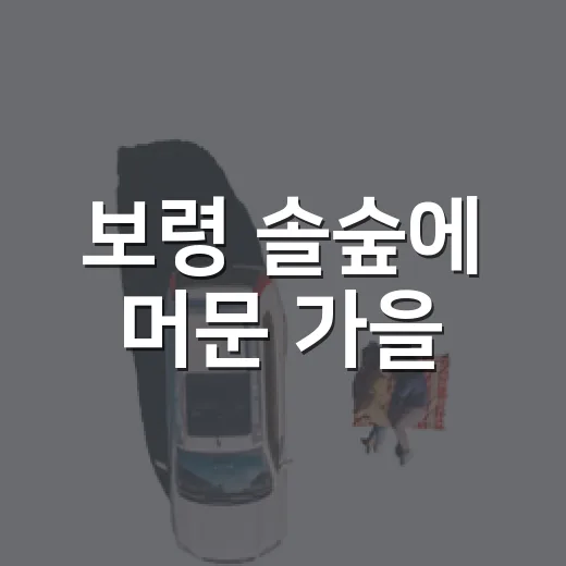 보령 솔숲에 머문 가을