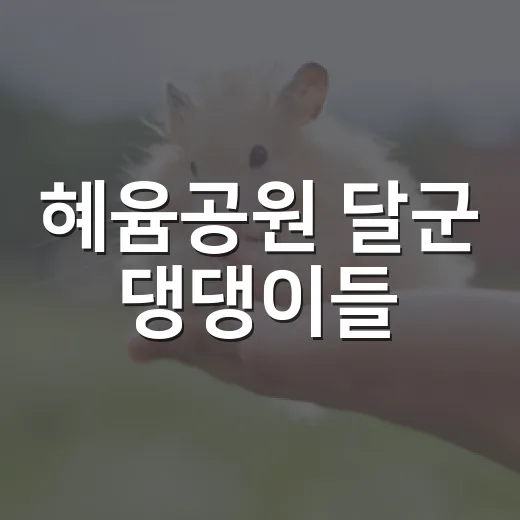 혜윰공원 달군 댕댕이들
