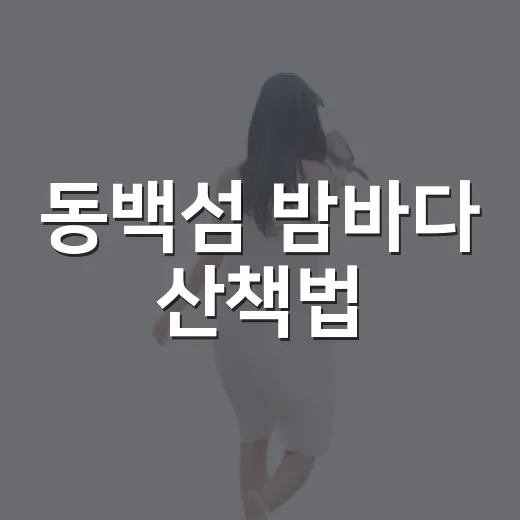 동백섬 밤바다 산책법