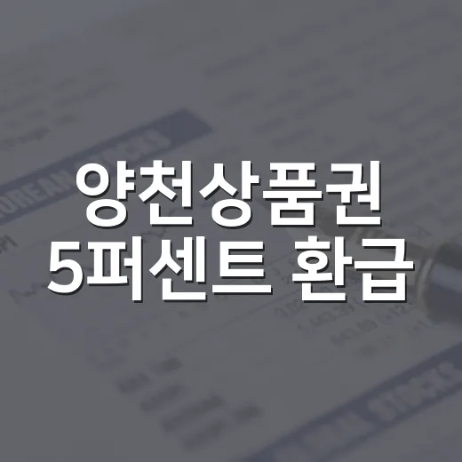 양천상품권 5퍼센트 환급