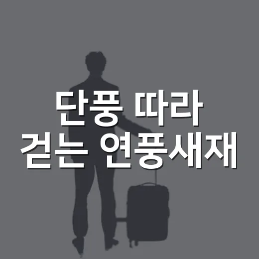 단풍 따라 걷는 연풍새재