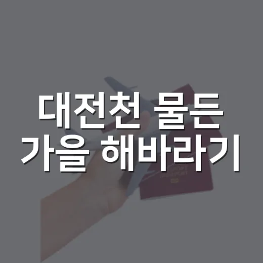 대전천 물든 가을 해바라기