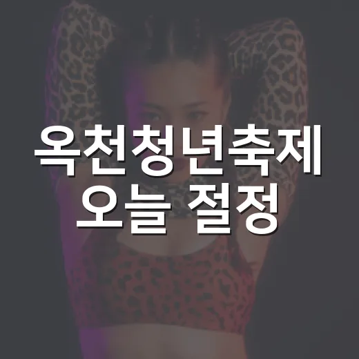옥천청년축제 오늘 절정