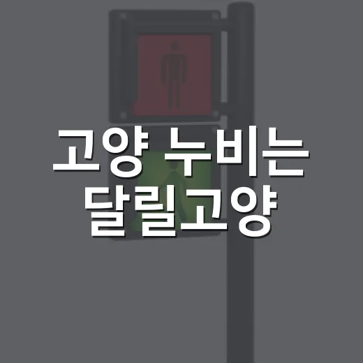 고양 누비는 달릴고양