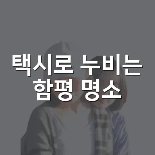 택시로 누비는 함평 명소