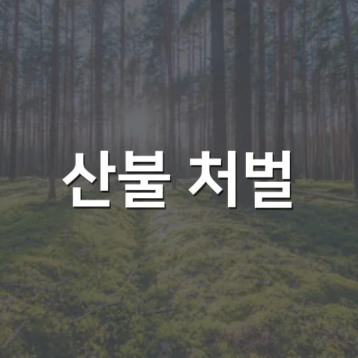 산불 처벌, 11월 13일부터 징역 5년