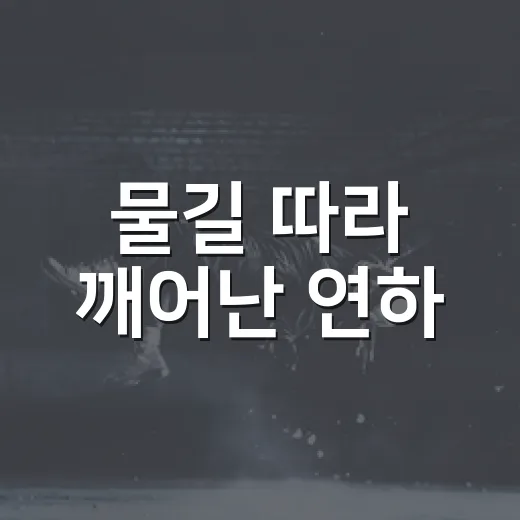 물길 따라 깨어난 연하