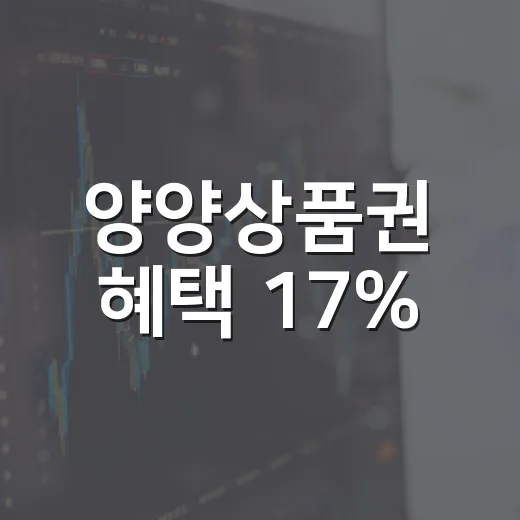 양양상품권 혜택 17%