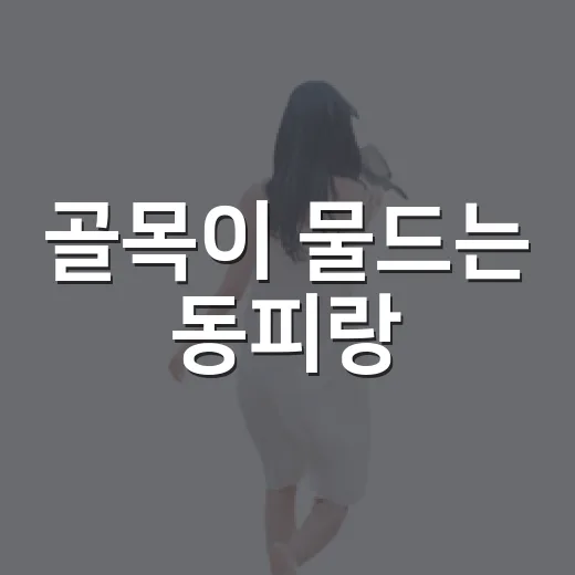 골목이 물드는 동피랑