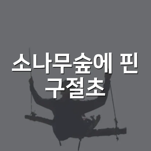 소나무숲에 핀 구절초