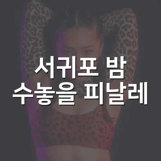 서귀포 밤 수놓을 피날레