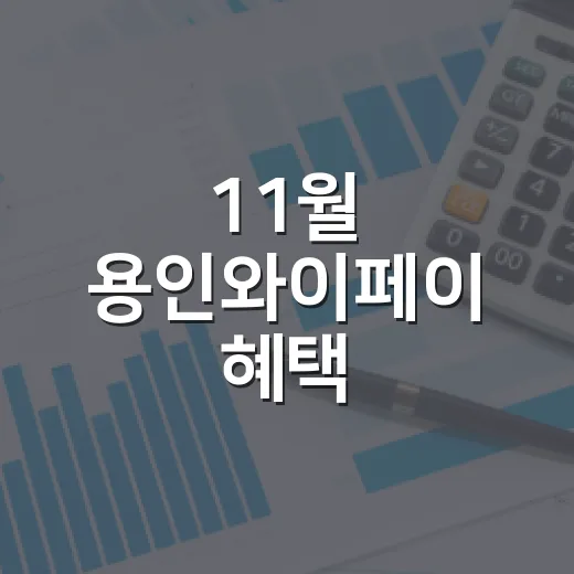 11월 용인와이페이 혜택